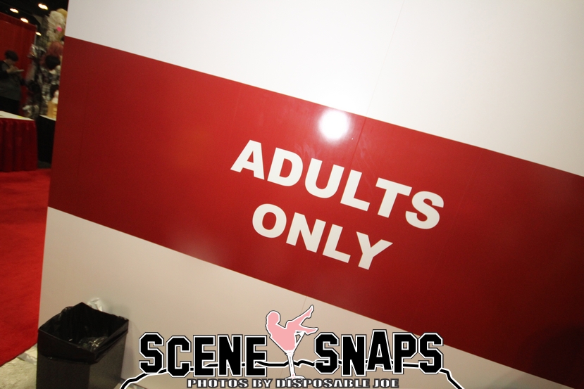 ANIME_EXPO_2015_0191_P_.JPG