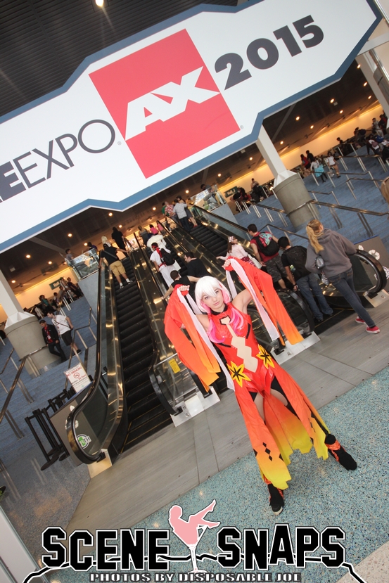 ANIME_EXPO_2015_0438_P_.JPG