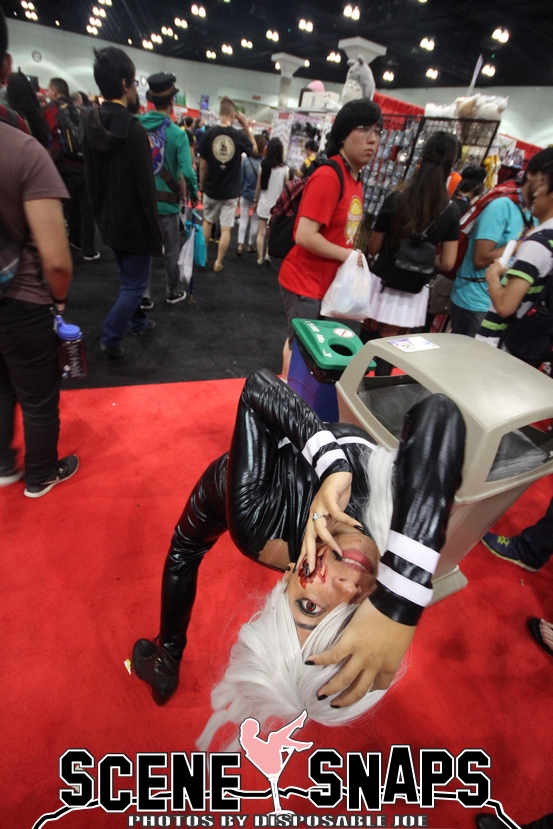 ANIME_EXPO_2015_0477_P_.JPG