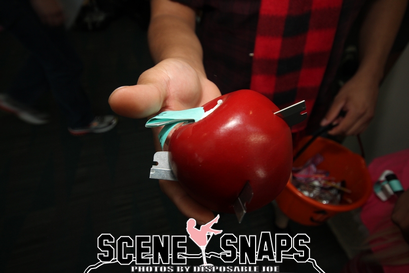 ANIME_EXPO_2015_0537_P_.JPG