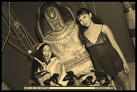 NHM_ROCK_LIKE_AN_EGYPTIAN_SEPIA_OCT_29_15_0265_P_.JPG